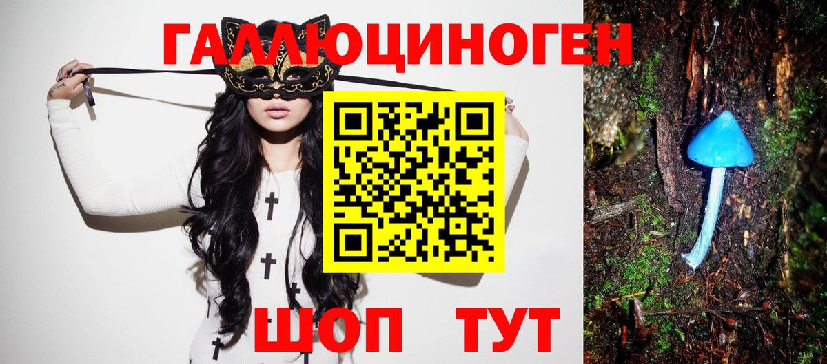 Псилоцибиновые грибы Psilocybine cubensis Белая Калитва