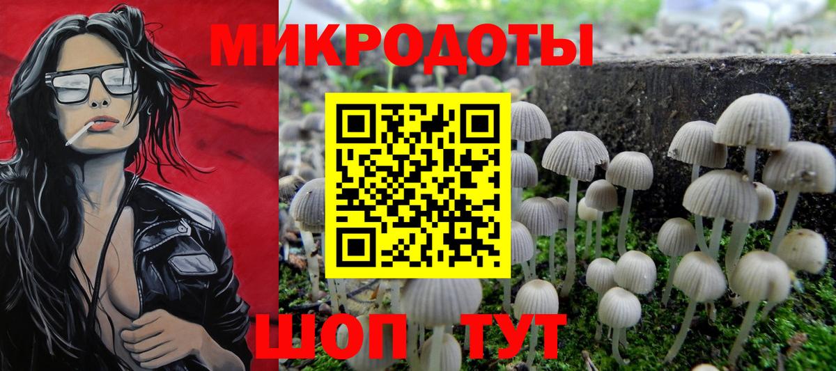 как найти закладки  Псилоцибиновые грибы мицелий  Вход с VPN  Белая Калитва 