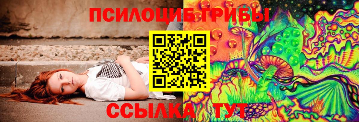 Галлюциногенные грибы Psilocybe Белая Калитва